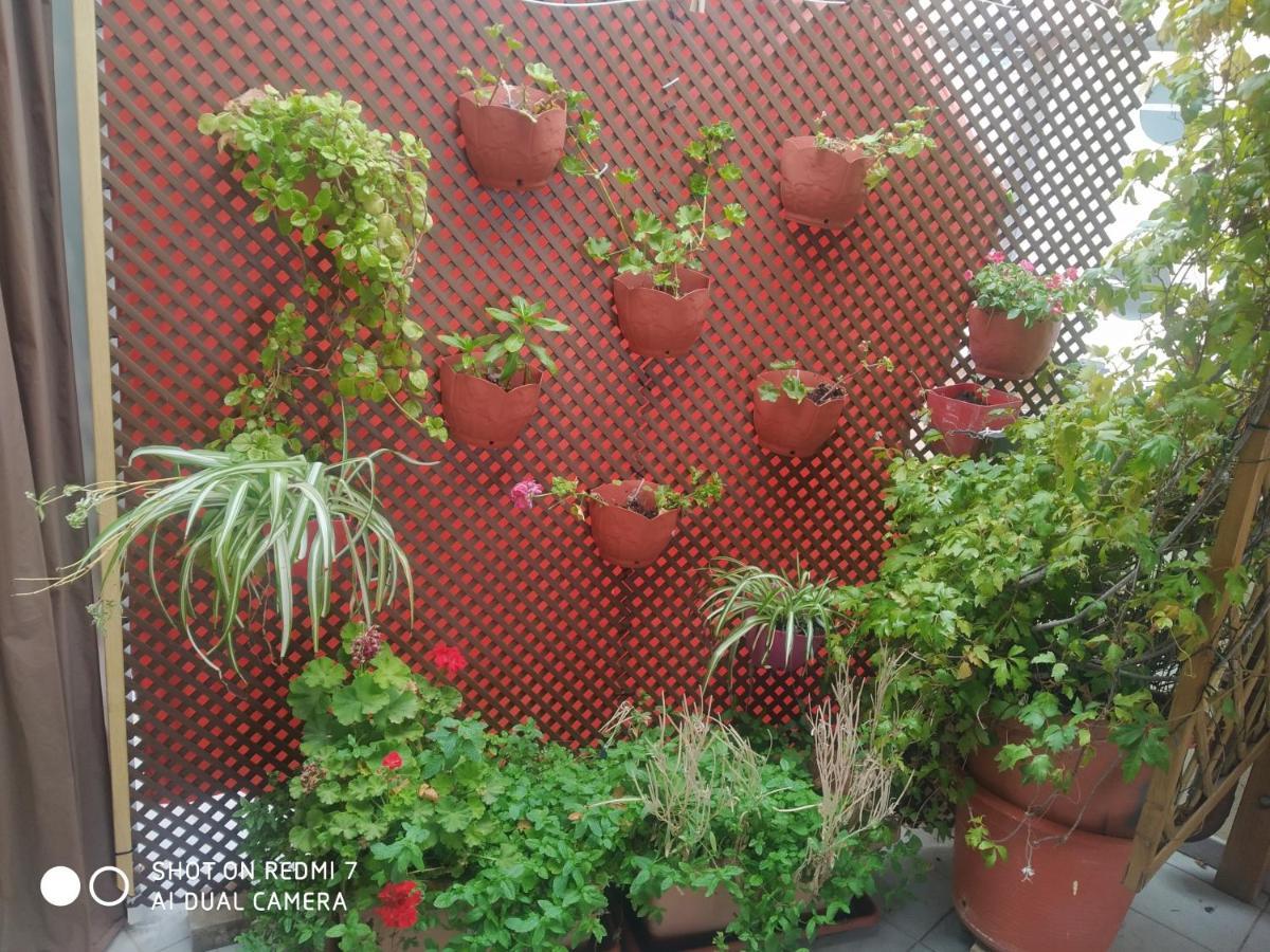 Habitacion Familiar En Un Atico Con Gran Terraza Y,Cocina ,En La Playa Burriana Exterior foto